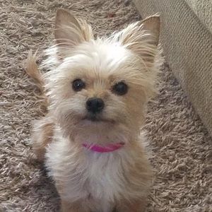 Meet your Posher, Kim